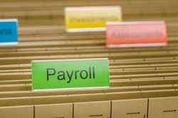 the-tax-shop.co.uk Payroll